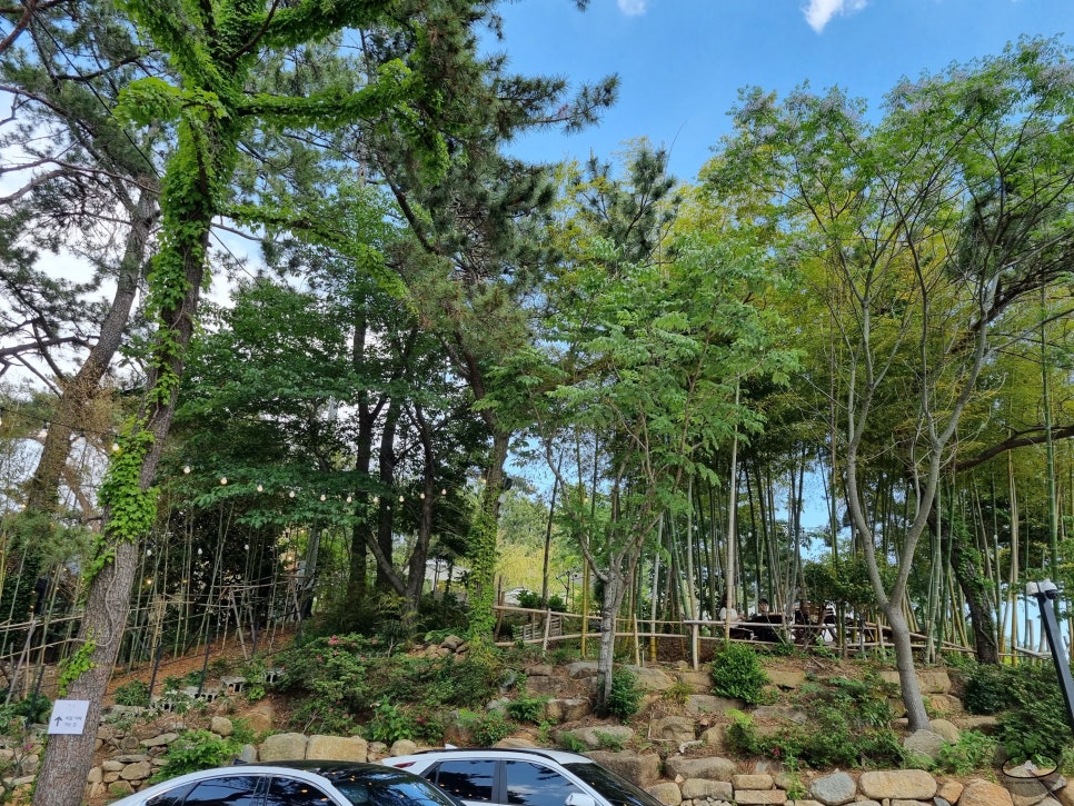 여수 큰 붕어빵 이미지