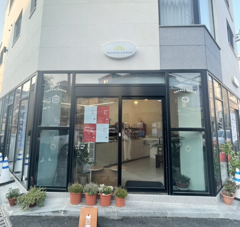 선데이요우 이미지