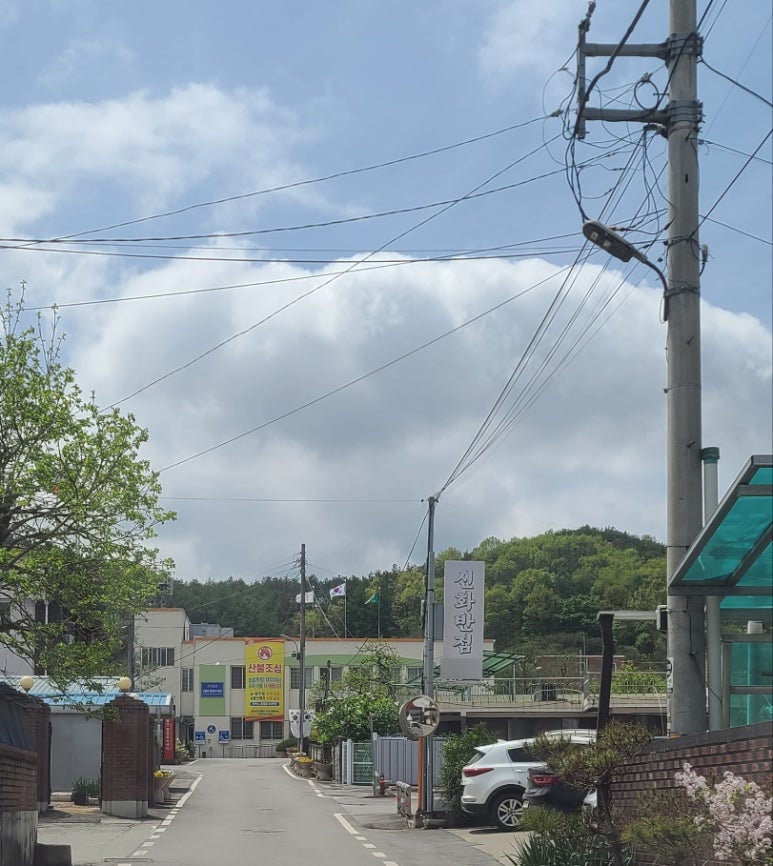 신화반점 이미지