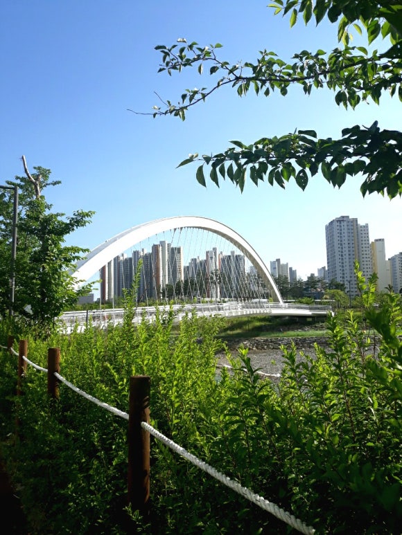 호수다방 이미지