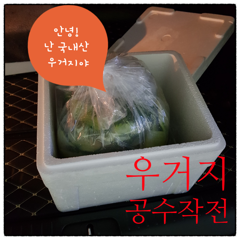 3일소고기국밥 이미지