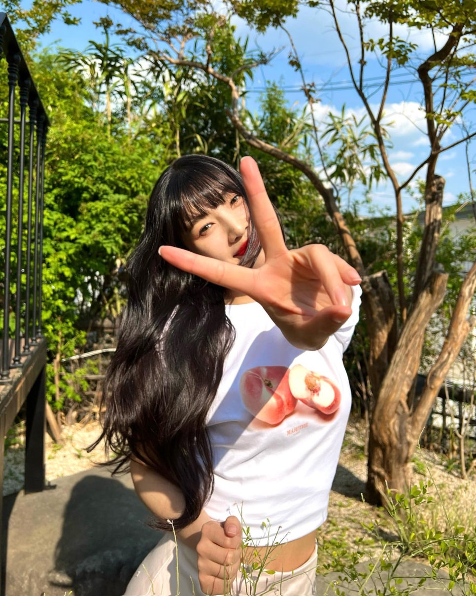 조이식물 이미지