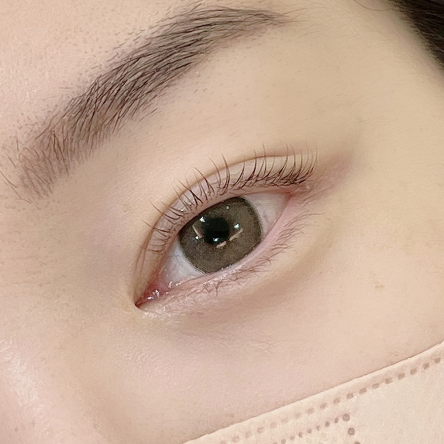 수련속눈썹 이미지