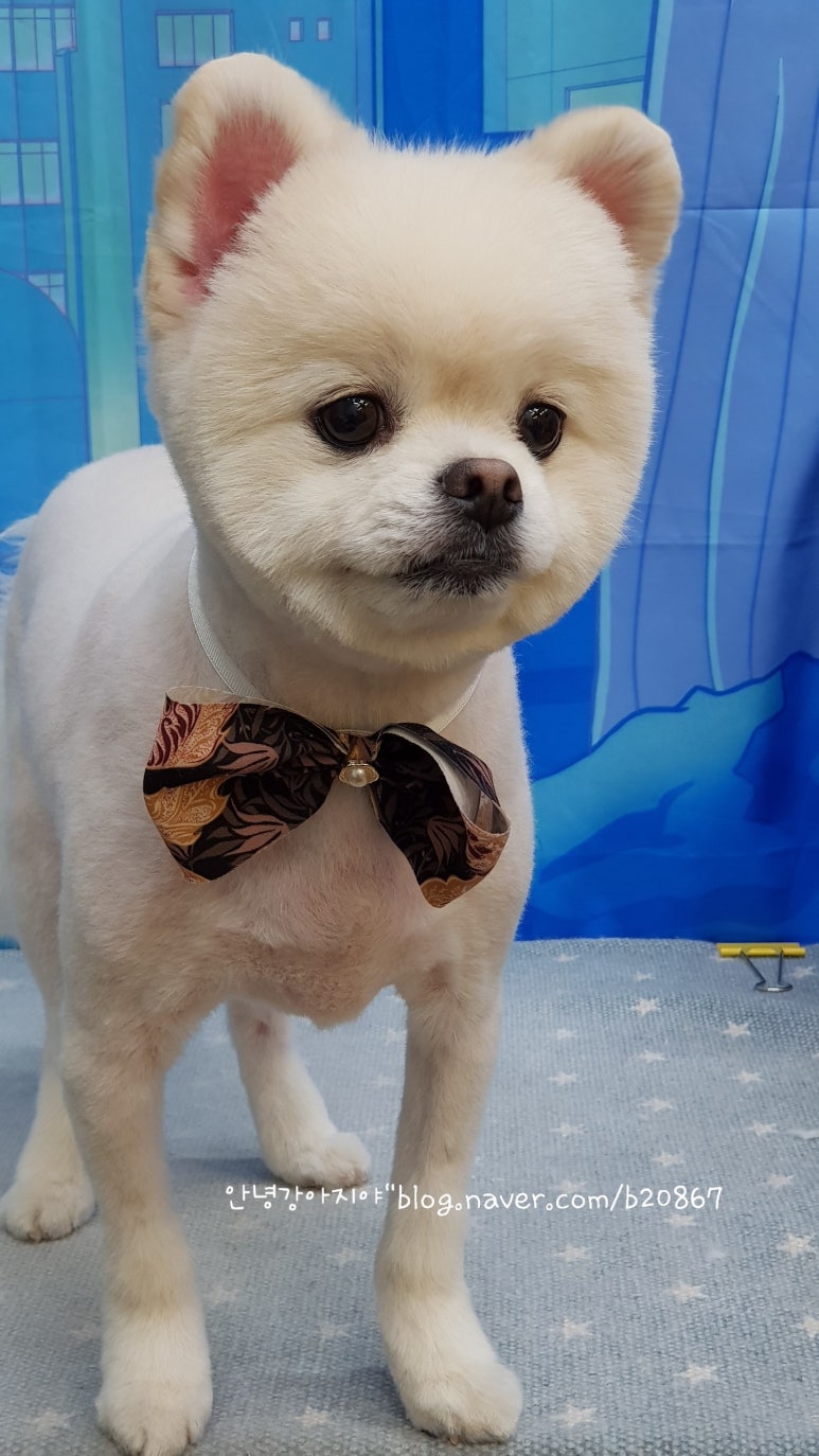 안녕, 미용실 이미지