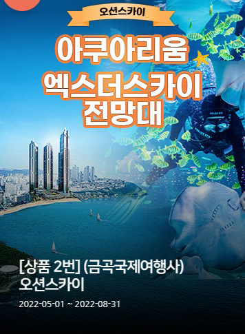 금곡국제여행사 이미지