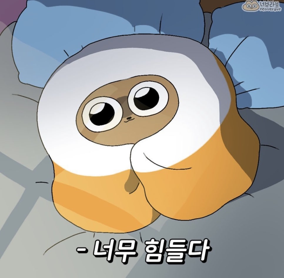 헤어플레이 이미지
