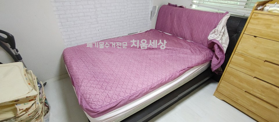 벙커피시 이미지