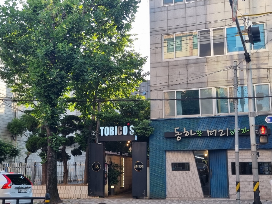 동하랑머리하자 이미지