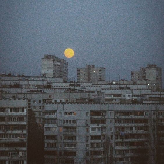 오늘여기우리 이미지