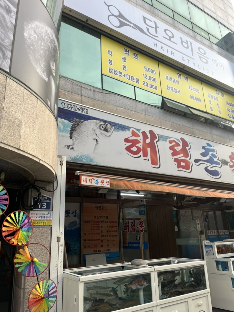 단오헤어 이미지