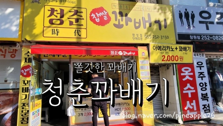 청춘찹쌀꽈배기 이미지