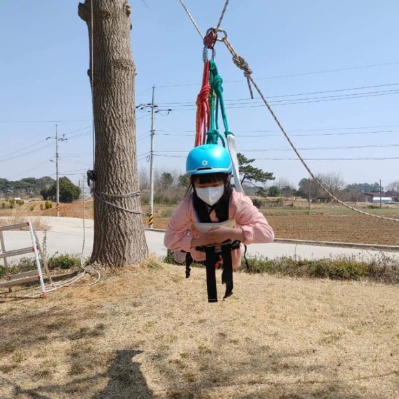 스카우트 그루터기 이미지