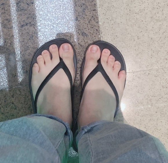 살롱드둥 이미지