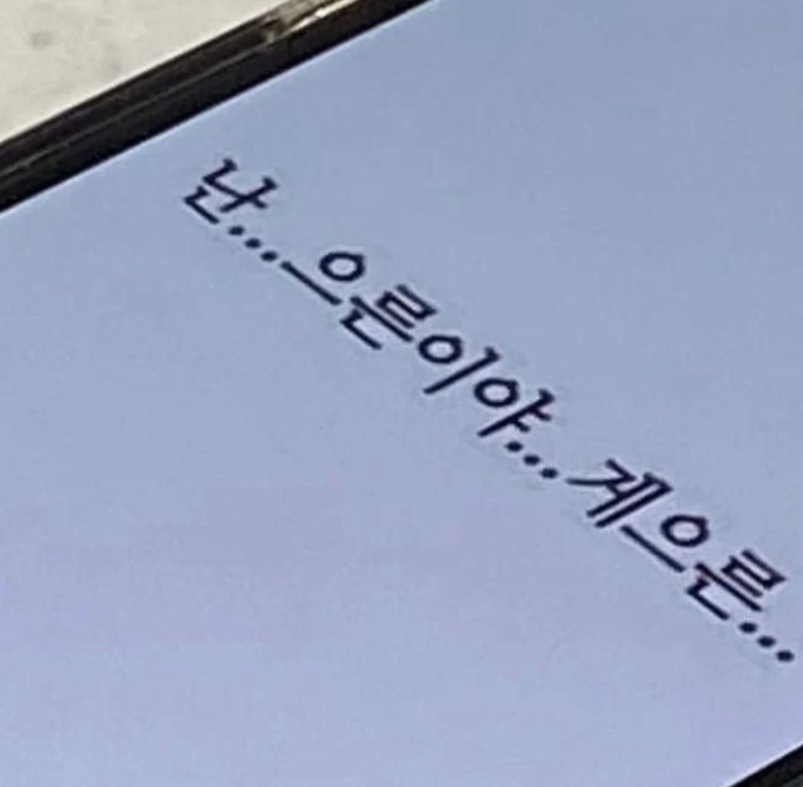 일상수집가 이미지