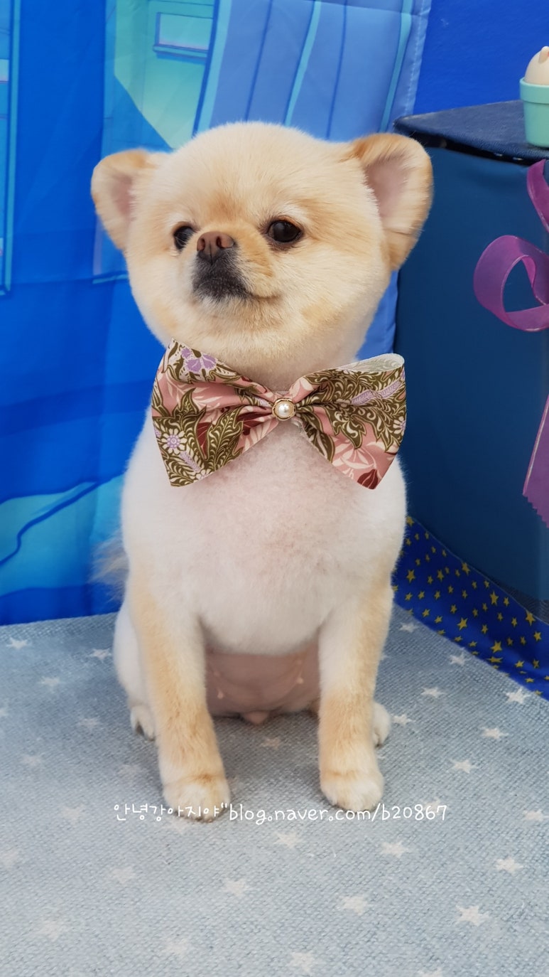안녕, 미용실 이미지