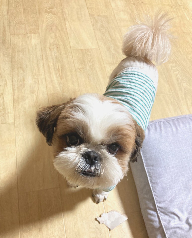 모모별상점 이미지
