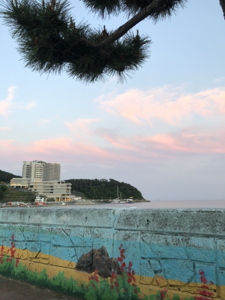 스시마시스 이미지