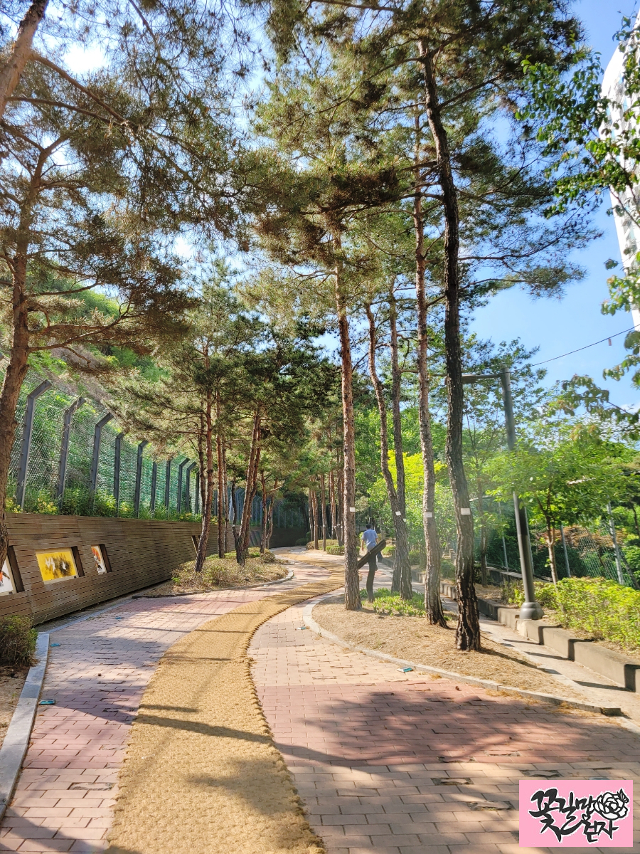 북한산도시자연공원→북한산 유아숲체험원 이미지