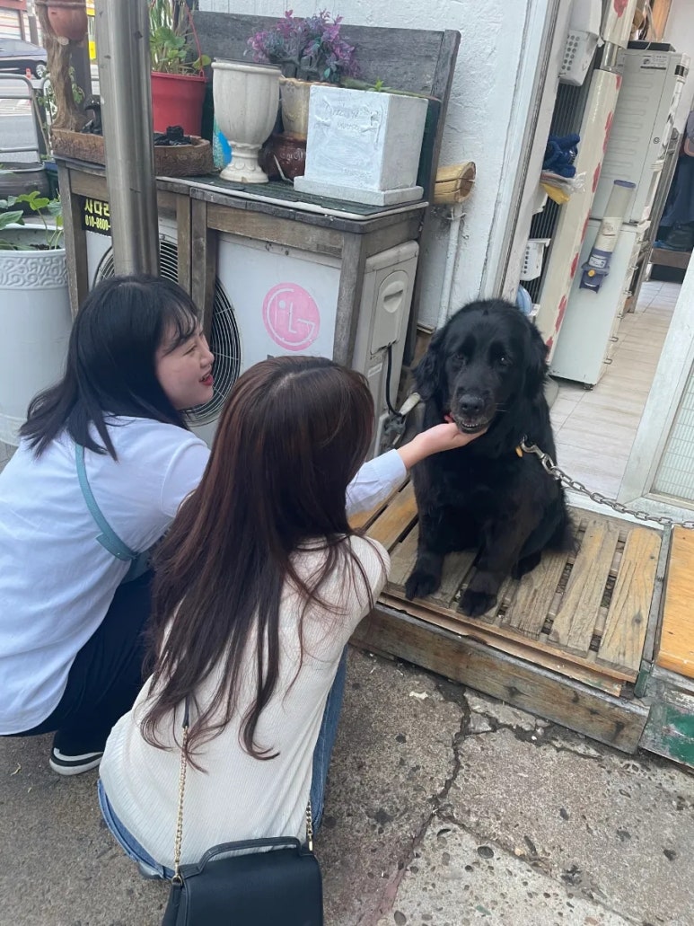 찐노래빠 이미지