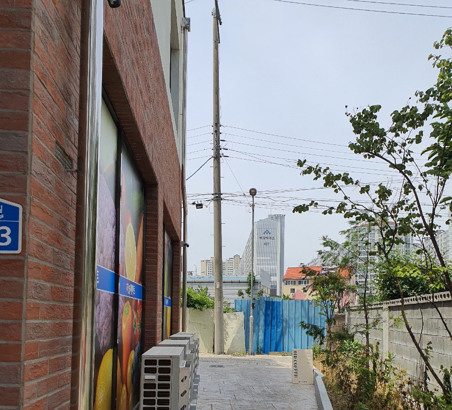 오이드커피 이미지