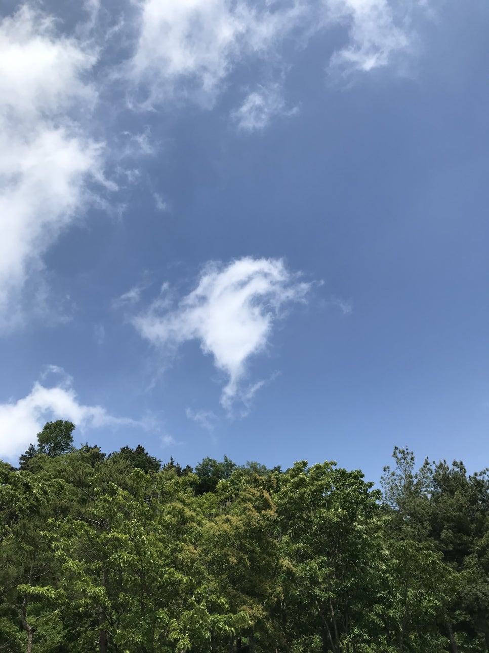 고향칼국수 이미지