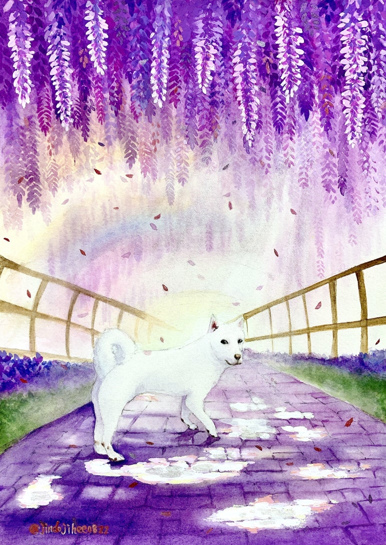 파이텍 이미지
