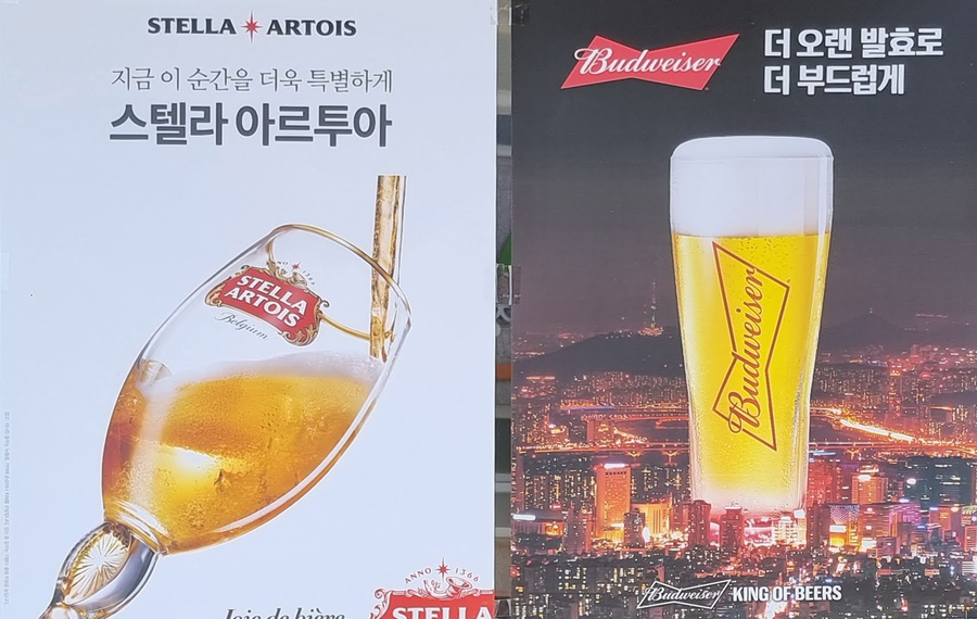 테인566 이미지
