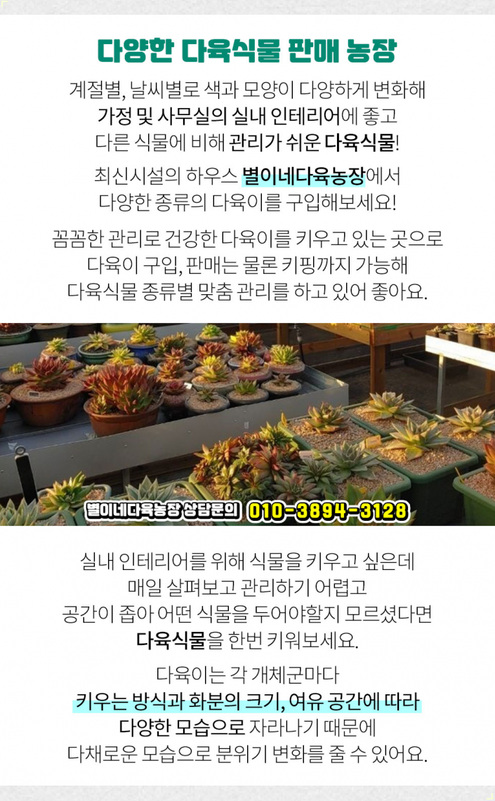 두리다육 이미지
