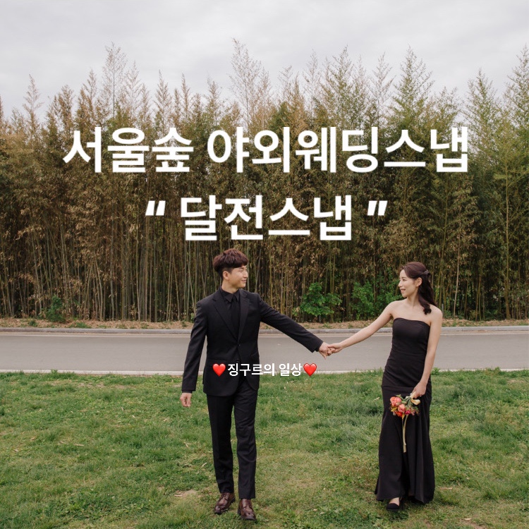 달전스냅 이미지