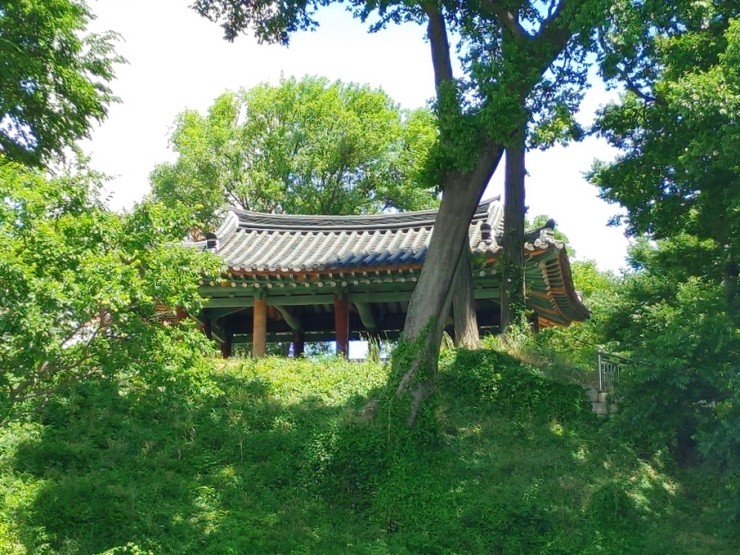 사화당 이미지
