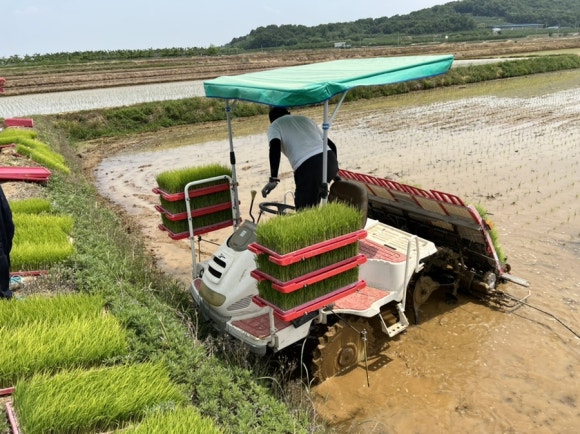 진미농원 이미지