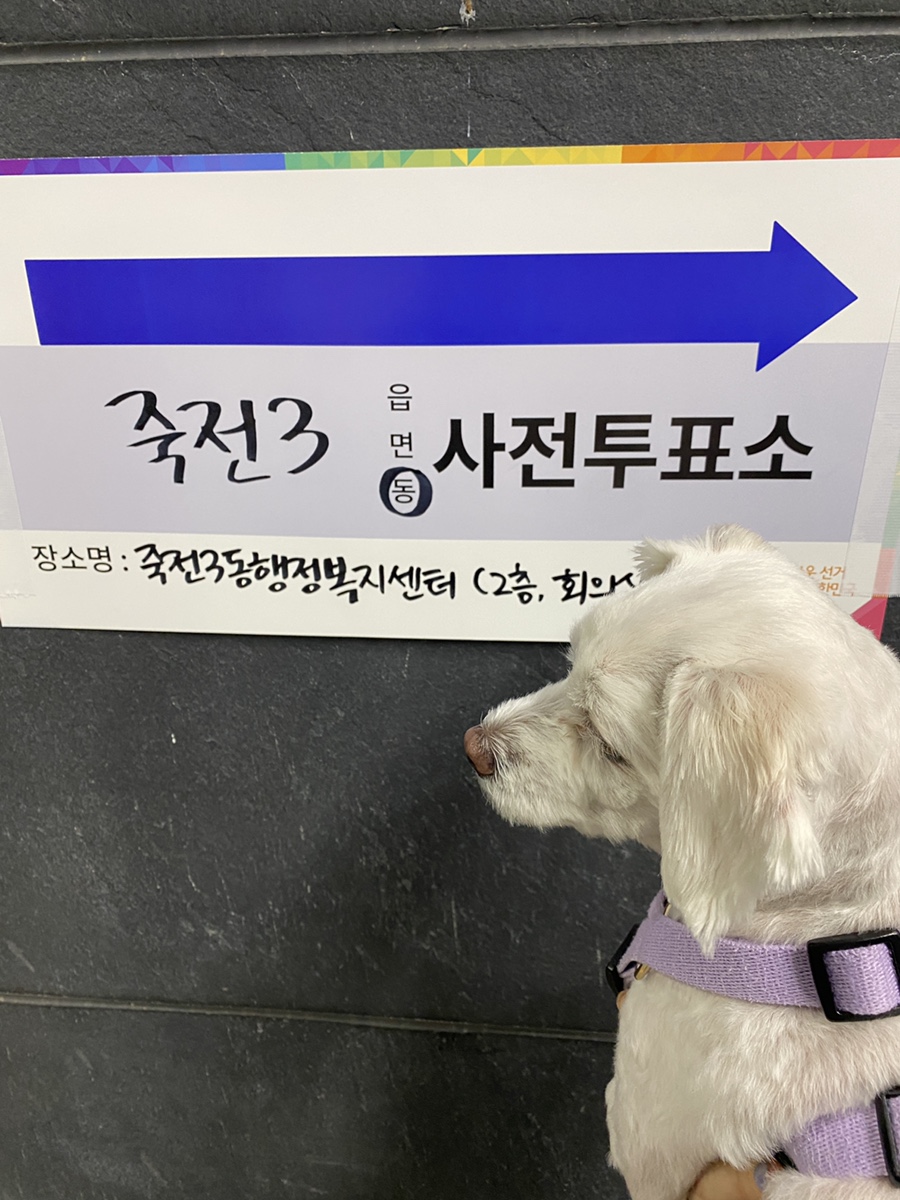 와플대학 용인보정캠퍼스 이미지