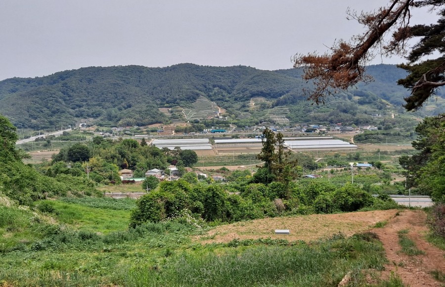 동천석유 이미지