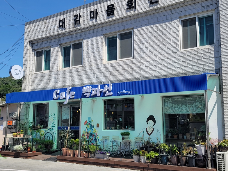 까페백파선 이미지