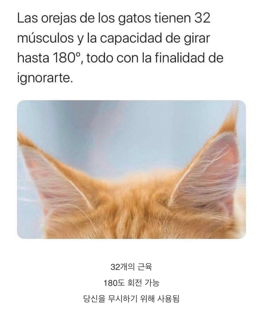 나두 이미지