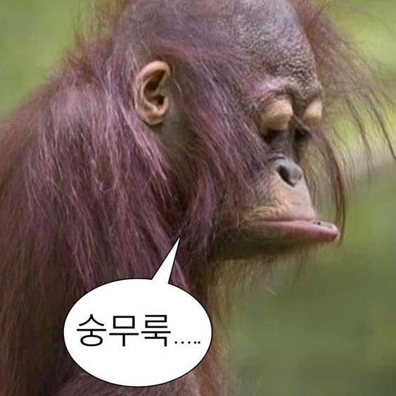 마이데일리룩 이미지