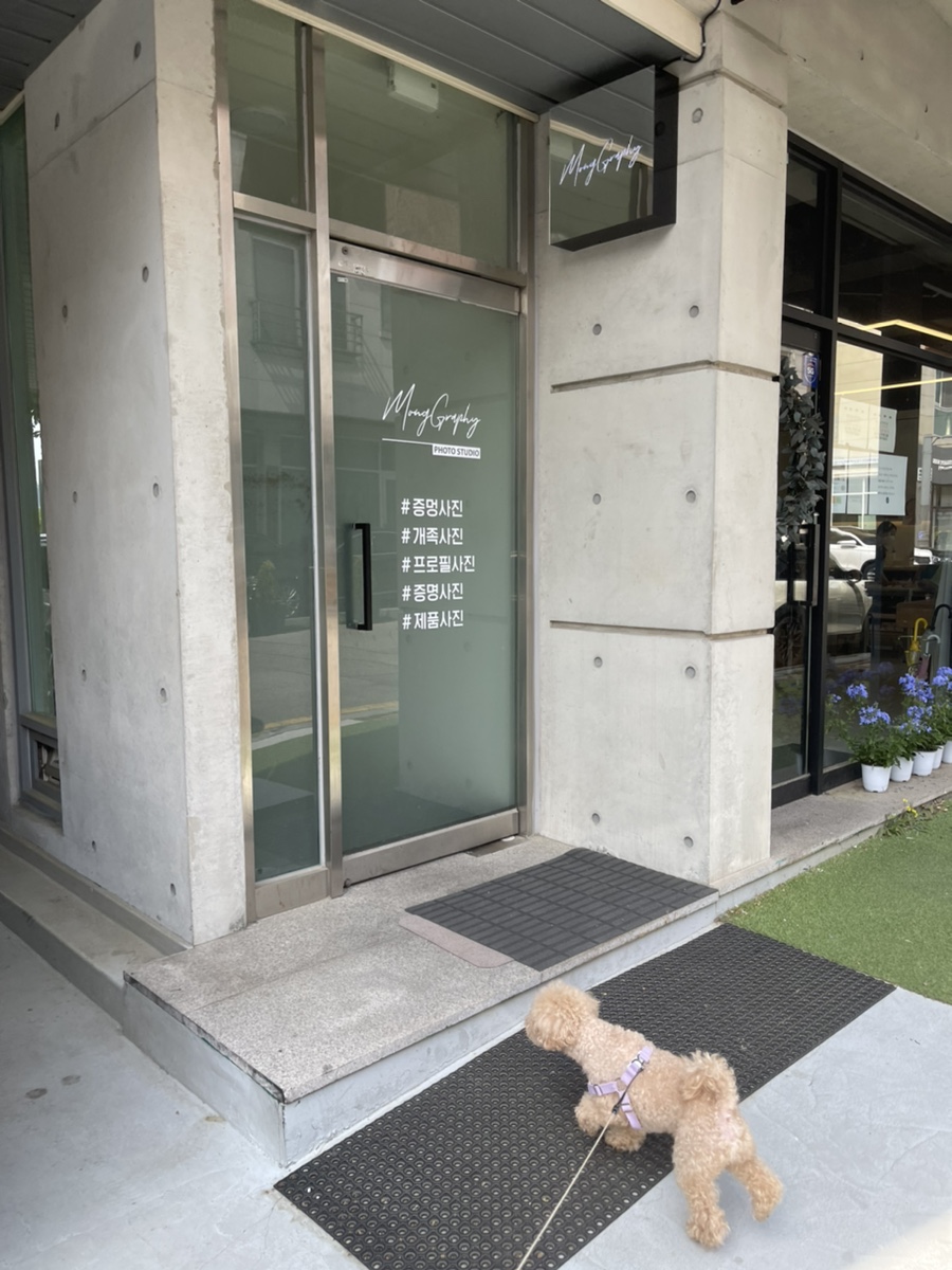 몽그라피 이미지
