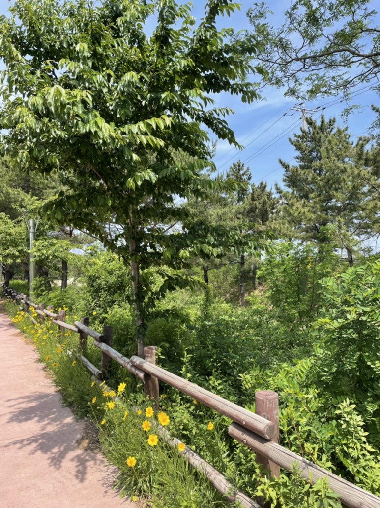 금강산누리 이미지