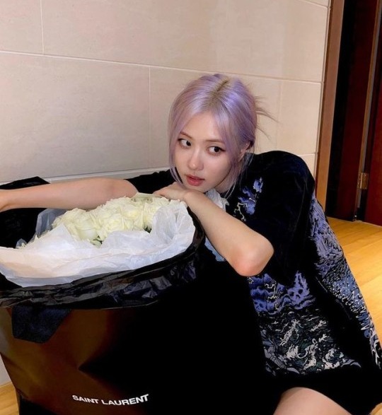 헤어숲 이미지