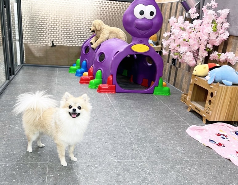 나리하우스 이미지