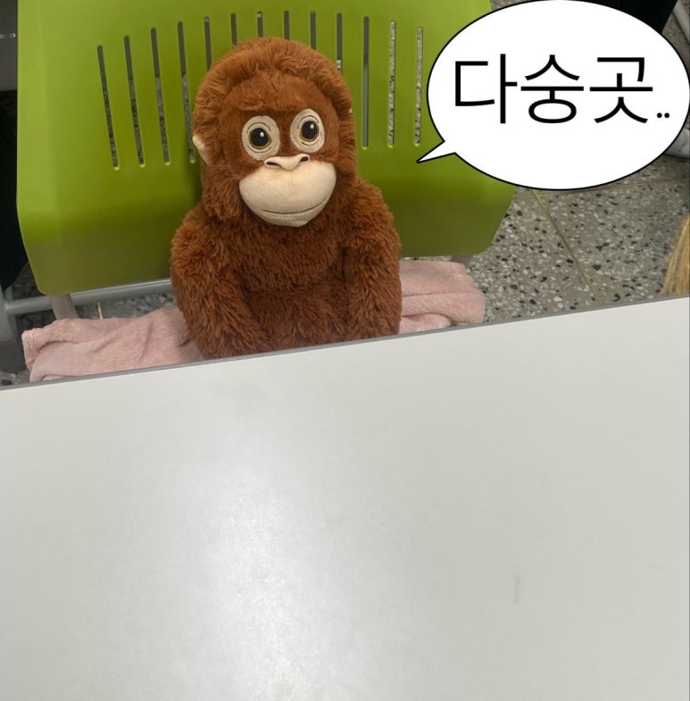 마이데일리룩 이미지