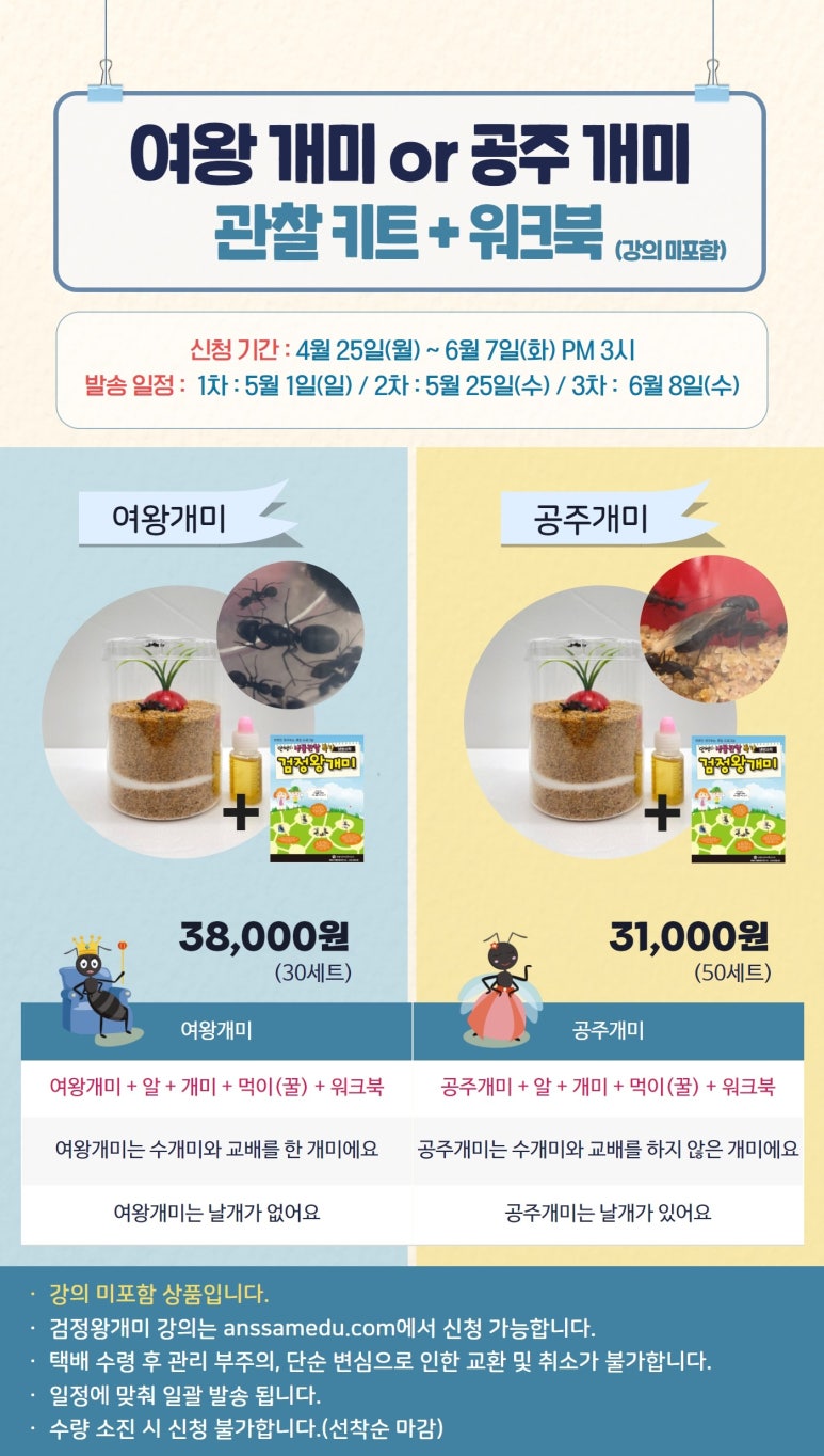 개미광고 이미지