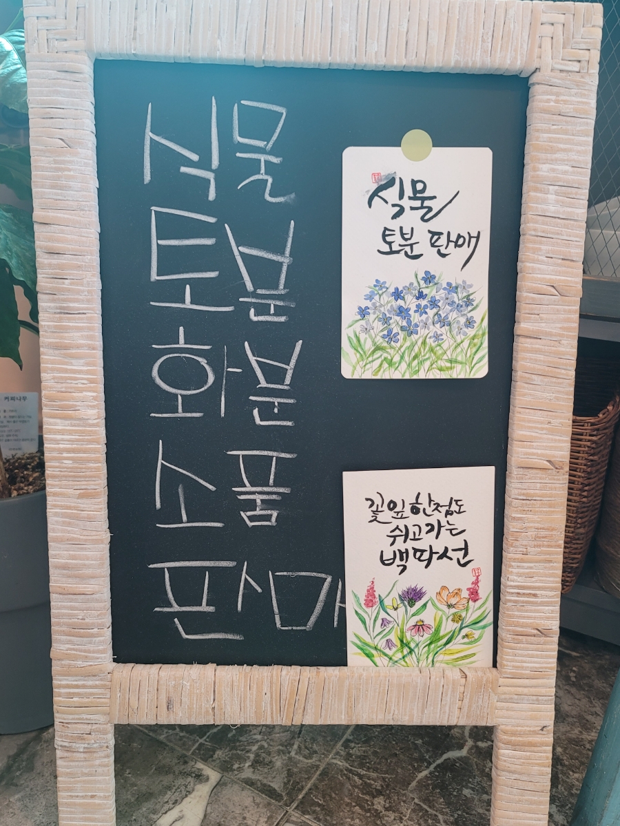 까페백파선 이미지