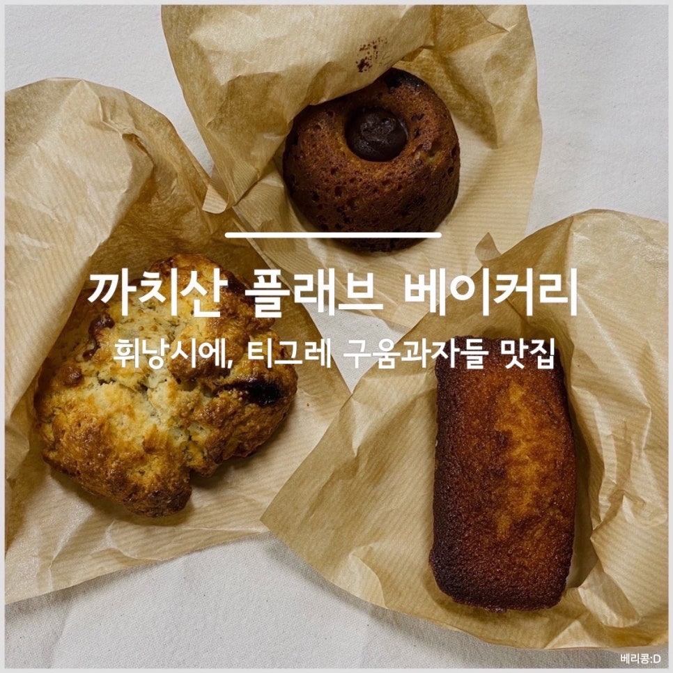 플래브(fleuve) 이미지