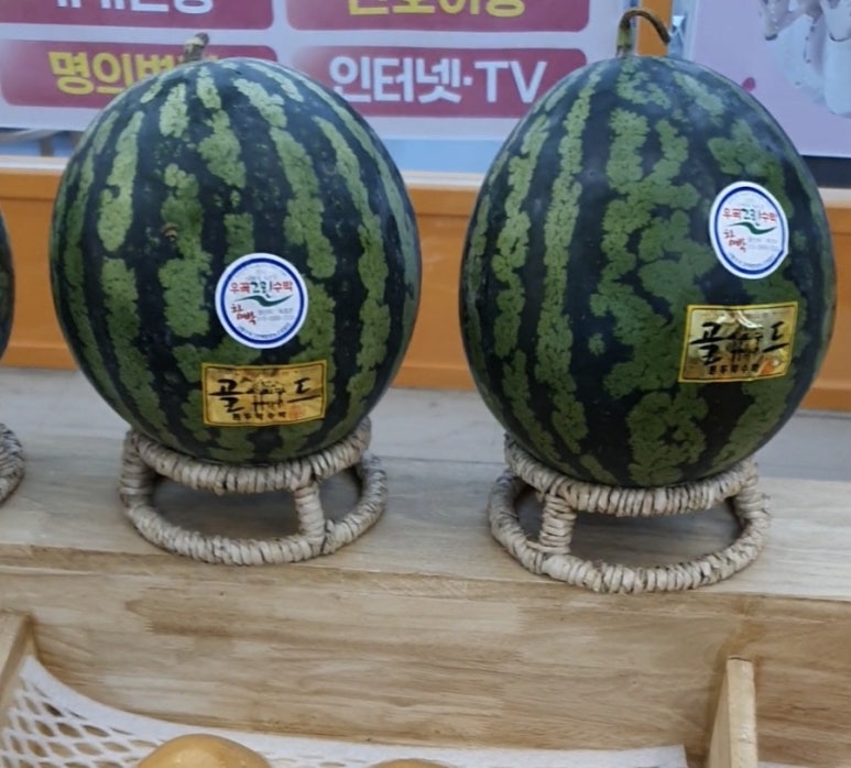 자인담 이미지