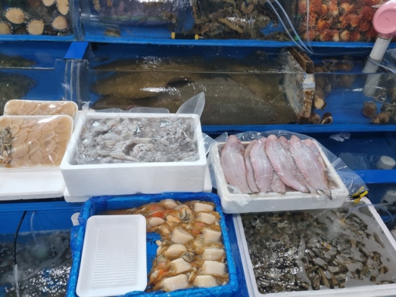 보성회수산 이미지