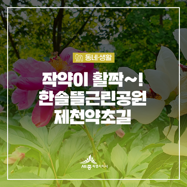제천약초뜰 이미지