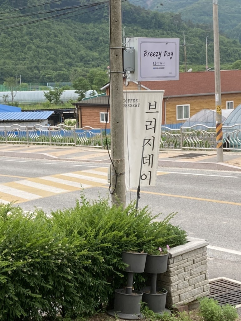 브리지데이 Breezy Day 이미지