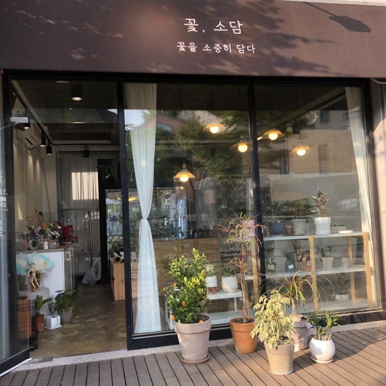 꽃소담 이미지