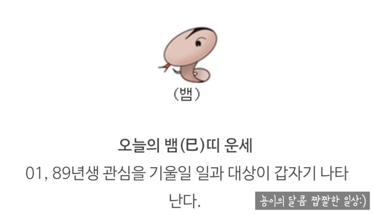 황금손세차 이미지